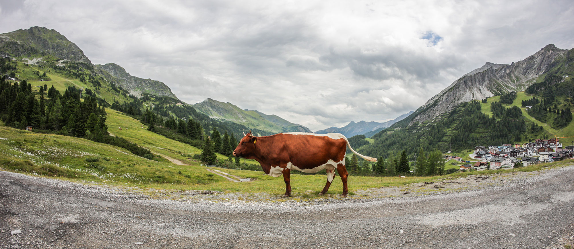 Ergebnisse & Bilder 57 2 Ots Best Of 1 1